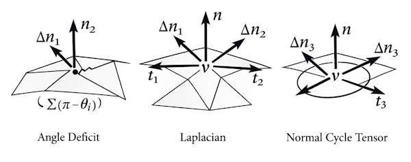 edge_based_normal_variation