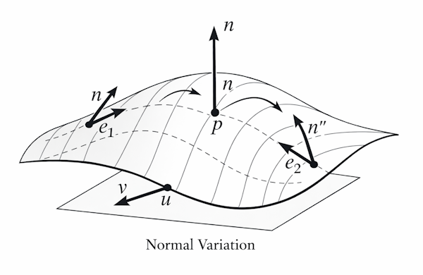 Visualizing Curvature of a Surface